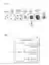 Fig. 03 - METHOD AND APPARATUS FOR PROCESSING TEXTURE