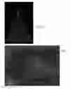 Fig. 04 - Velocity volume rendering with sign-based termination in ultrasound
