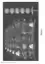 Fig. 38 - 3D enhanced gaming machine with selectable 3D intensity level