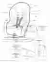 Fig. 01 - Car seat occupant detection and alert apparatus, system, and method