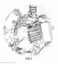 Fig. 04 - INTERNAL ORGAN ASSEMBLY FOR CRASH TEST DUMMY