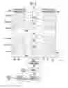 Fig. 03 - Organic light emitting display device for preventing erroneous light emission