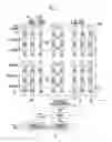 Fig. 03 - ORGANIC LIGHT EMITTING DISPLAY DEVICE