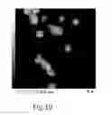 Fig. 07 - Method of constructing 3D image, image processor, and electron microscope