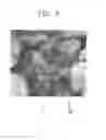 Fig. 07 - Plasma Processing Devices Having a Surface Protection Layer
