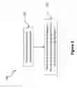 Fig. 02 - Process for densifying nitride film