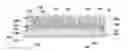 Fig. 01 - Methods of protecting peripheries of in-process semiconductor wafers and related in-process wafers and systems