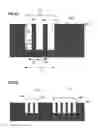 Fig. 04 - METHOD FOR PROCESSING A CARRIER AND A CARRIER