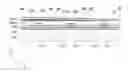 Fig. 01 - Display apparatus
