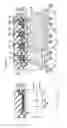 Fig. 15 - IMAGE PICKUP DEVICE AND METHOD OF MANUFACTURING THE SAME