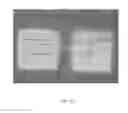 Fig. 24 - OLED lighting device with short tolerant structure