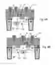 Fig. 05 - Bipolar transistor