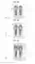 Fig. 06 - SEMICONDUCTOR DEVICE AND MANUFACTURING METHOD THEREOF