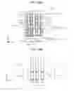 Fig. 41 - Semiconductor device