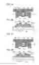 Fig. 06 - Semiconductor device and method for manufacturing the semiconductor device