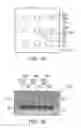 Fig. 06 - SEMICONDUCTOR LIGHT-EMITTING DEVICE