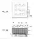 Fig. 07 - SEMICONDUCTOR LIGHT-EMITTING DEVICE