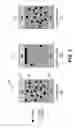 Fig. 03 - Low voltage embedded memory having conductive oxide and electrode stacks