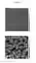 Fig. 06 - Composition for surface-modifying insulator, method for surface-modifying insulator, insulator, and thin film transistor