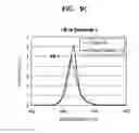 Fig. 10 - Organic light emitting display apparatus reducing reflection of external light