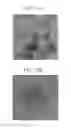 Fig. 04 - Cathode, lithium air battery including the same, and method of preparing the cathode