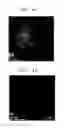 Fig. 07 - Cathode, lithium air battery including the same, and method of preparing the cathode