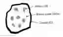 Fig. 01 - SiOx/Si/C composite material and process of producing thereof, and anode for lithium ion battery comprising said composite material