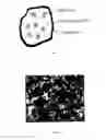 Fig. 02 - SiOx/Si/C composite material and process of producing thereof, and anode for lithium ion battery comprising said composite material