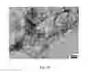 Fig. 14 - ALUMINUM BASED ELECTROACTIVE MATERIALS