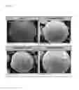 Fig. 02 - MANUFACTURING METHOD OF LITHIUM-TITANIUM COMPOSITE OXIDE IN WHICH DIFFERENT METALS ARE DOPED, AND LITHIUM-TITANIUM COMPOSITE OXIDE MANUFACTURED THEREBY IN WHICH DIFFERENT METALS ARE DOPED