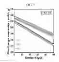 Fig. 10 - METHOD OF MANUFACTURING CATHODE ACTIVE MATERIAL FOR LITHIUM SECONDARY BATTERY AND LITHIUM SECONDARY BATTERY MANUFACTURED USING THE SAME