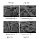 Fig. 06 - Carbon Paper With Conducting Polymers And Polyols For Fuel Cell And Preparation Method Thereof