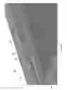 Fig. 07 - Flow cell stack with single plate cells