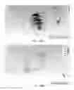 Fig. 15 - RFID system