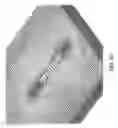 Fig. 23 - Antenna, antenna device and communication device