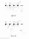 Fig. 15 - Non-feeding reradiating repeater and method for manufacturing of the same