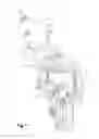 Fig. 02 - Insulating body for pluggable connector