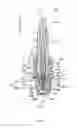 Fig. 02 - Spark plug and method for manufacturing spark plug
