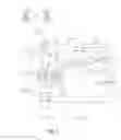 Fig. 05 - Electrical device