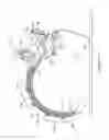 Fig. 04 - Grounding rope guide for a dynamo-electric machine