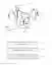 Fig. 02 - Method, access point, server and station used for coordinated transmission