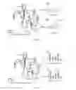Fig. 04 - Method, access point, server and station used for coordinated transmission