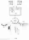 Fig. 18 - Single sign-on (SSO) for mobile applications