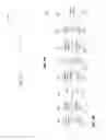 Fig. 05 - Cryptographic protocol for portable devices