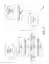 Fig. 14 - Data behavioral tracking