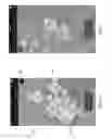 Fig. 05 - Method and Apparatus for Tile-Based Geographic Social Interaction