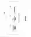 Fig. 11 - Wireless device system-architecture