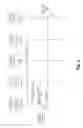 Fig. 07 - Differentiated MMS billing based on roaming status determination of user devices