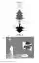 Fig. 02 - Camera and illumination system