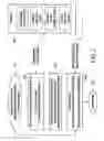 Fig. 03 - Methods for extracting objects from digital images and for performing color change on the object